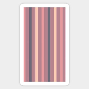 Akito | Colorful Stripes Pattern Sticker